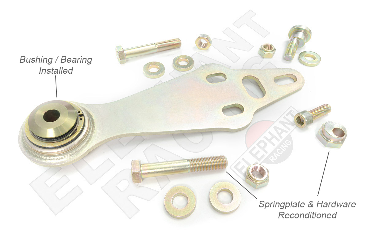 Spring Plate Services